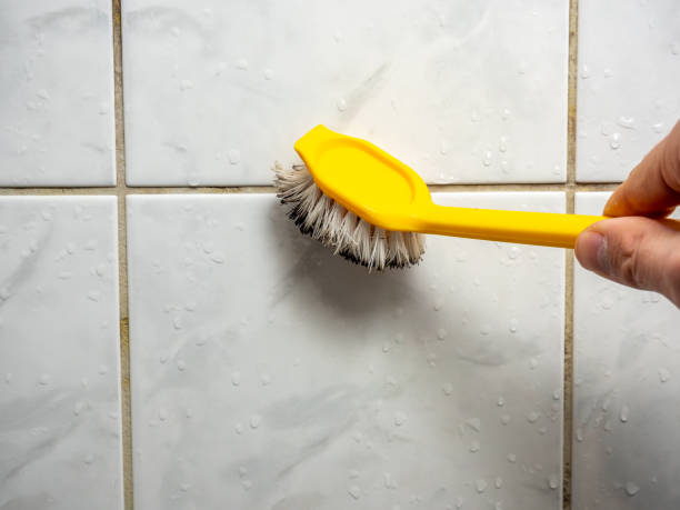 Best Emergency Mold Removal  in Dolgeville, NY